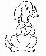 Coloring Pages Dogs Cute Dog Printable sketch template