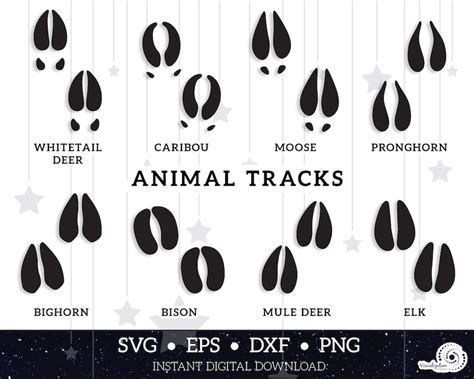animal tracks hoof prints vector instant digital etsy