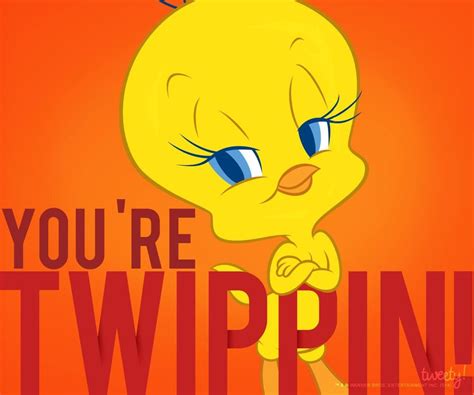 pin  samantha matos  tweety bird tweety bird quotes tweety