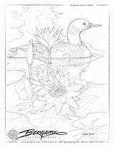 Coloring Bergsma Jody Pages Drawing Bird Adults Adult Artist Lot Tutorials Drawings Color Visit Sheet Choose Board River Shits sketch template