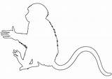 Monkey Silhouette Silhouettes Outline Coloring Pages Svg sketch template