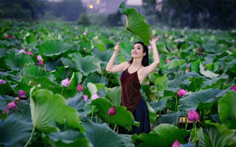 vietnam girl with lotus wallpaper by elirogers