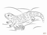 Gila Coloring Iguana Lizard Monstruo Supercoloring sketch template