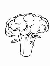 Coliflor Brocoli Cauliflower Coloriages sketch template
