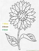 Color Number Coloring Flower Pages Sunflower Flowers Printable Numbers Kids Summer Worksheets Paint Printables Hellokids Pattern Source Spring Smg Er sketch template