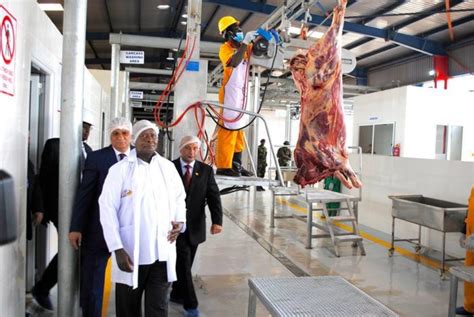 uganda worried of exporting ‘sick beef to egypt the ugandan