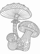 Trippy Mushroom sketch template