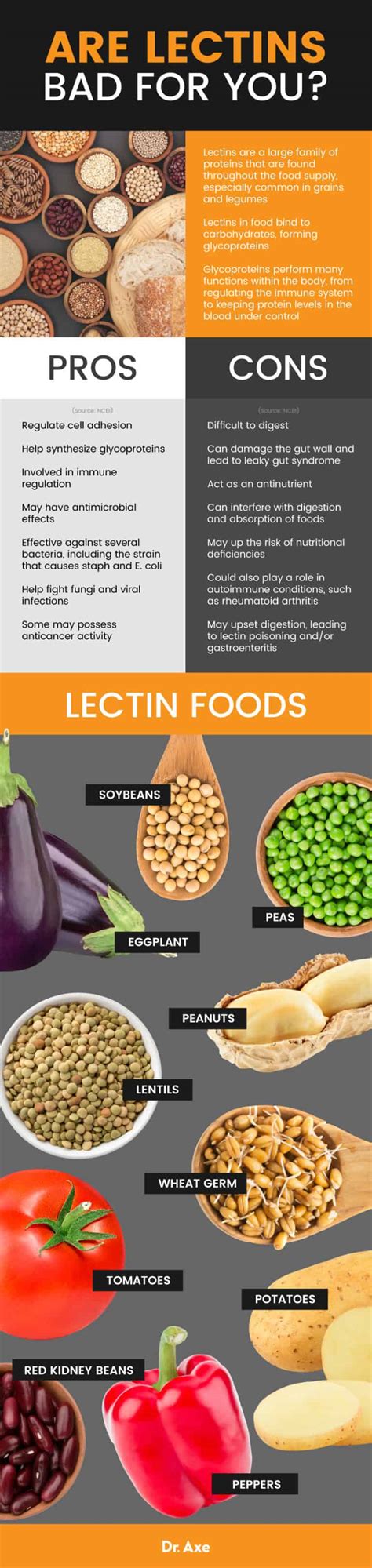 lectins bad   pros  cons  lectin foods dr axe