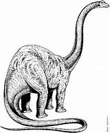 Dinosaur Coloring Pages Animated Apatosaurus Dinosaurs Brontosaurus Gifs Gif Coloringpages1001 sketch template