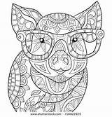 Coloring Pages Sheets Mandala Animal Adult Adults Book Pig Colouring Zen Printable Color Printables Books Coloriage Activities Shutterstock Kids Style sketch template