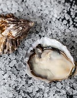Afbeeldingsresultaten voor japanse oester. Grootte: 157 x 200. Bron: www.pacificseafood.com