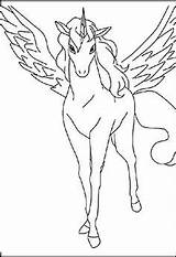 Pegasus Einhorn Ausmalbilder Ausmalbild Kleurplaat Eenhoorn Vleugels Kleurplaten Pferde Lyria Onchao Eenhoorns Pferd Malvorlage Malvorlagan Uitprinten Downloaden Regenboog sketch template