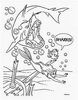 Requin Sirenita Zeemeermin Haaien Sirenetta Arielle Sereia Pequena Sirene Kleurplaten Colorir Coloriages Desenhos Poursuivit Imprimer Megalodon Meerjungfrau Animaux Trickfilmfiguren Comic sketch template