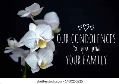 condolences   family images stock  vectors