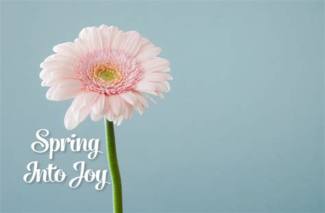 spring  joy transformation coaching magazine