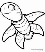 Turtle Coloring Pages Sea sketch template