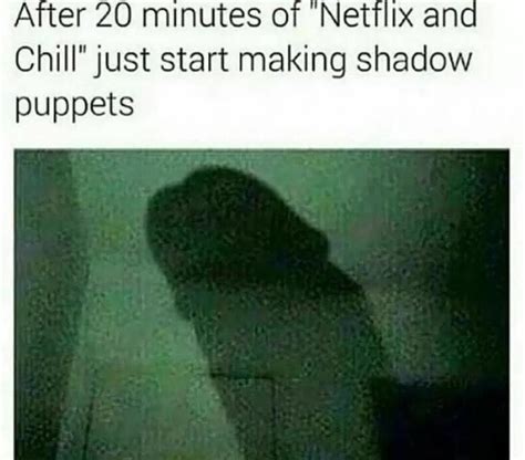 20 freaking funny netflix and chill photos to support