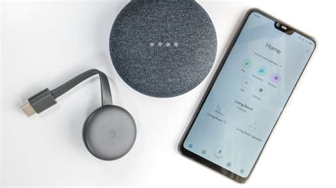google home app features