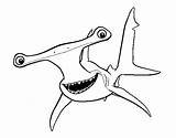 Nemo Buscando Hammerhead Tiburones Jaws Imagenes Randa Carcharodon Whitetip Megalodon Oceanic Whale Pesquisa Ricerca Acolore Anyrgb sketch template