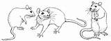 Rat Coloring Drawings Simple Pages Rats Pencil Tattoo Drawing Outline Cute Mouse Tattoos Coloringbay Animal Small Pet Amazing Cat Lab sketch template