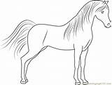 Coloringpages101 Horses Template sketch template