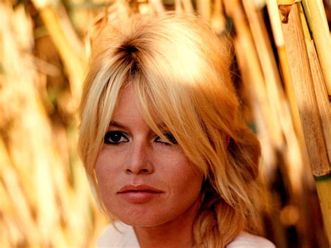 Brigitte Bardot Bardot Hair Bardot Bangs Hair Styles