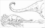 Diplodocus Pages Dinosaur Coloring Online Color Coloringpagesonly sketch template