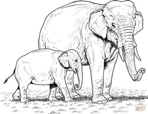 mom  baby elephant coloring pages elephant coloring page elephant