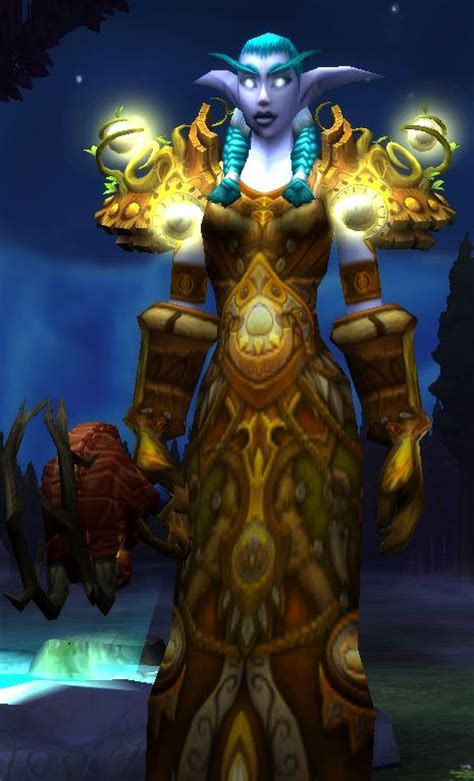 The Druid In The World Of Warcraft