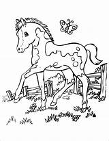 Coloring Horse Baby Pages Mom Getcolorings Printable sketch template