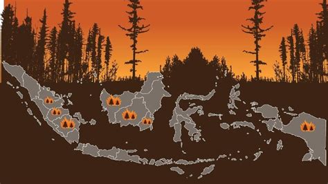 Sejauh Mana Kebakaran Hutan Di Kalimantan Terjadi