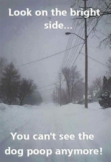 pin by valerie newman on hilarious ¨ ¸¸ ¨ ¸¸ winter humor snow