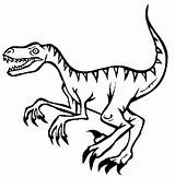 Velociraptor Raptor Dinosaurs Doghousemusic sketch template