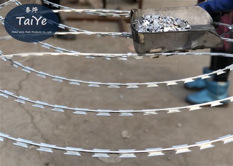 electro galvanized flat wrap razor wire razor blade fencing export  malaysia