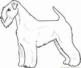 Terrier Wheaten Coated Soft Lines Drawing Deviantart Getdrawings sketch template