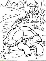 Tortoise Hare Coloring Fables La Worksheets Pages Tortuga Story Activities Colouring Color Clipart Printable Book Sheets Preschool Dibujos Para Kids sketch template