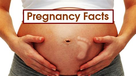 10 weird pregnancy facts that you probably didn t know youtube