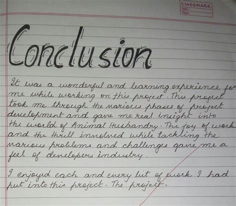 write conclusion  school project