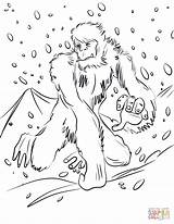 Yeti Coloring Pages Running Printable Supercoloring Bigfoot Categories sketch template
