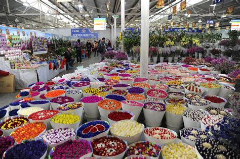 flower market kunming pictures china  global geography