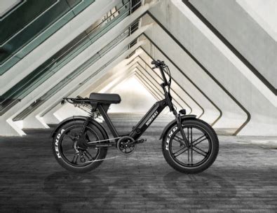 home electric bike