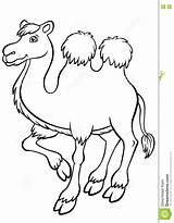 Camel Kamel Coloring Kameel Dieren Smiles Coloration Kleurende Leuke Cammello Nettes Gullig Chameau Mignon Sidor Anhydrous Färga Gulligt Carino Sorrisi sketch template