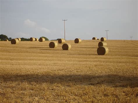 harvest hay   field  newingreen  hythe devall paul flickr