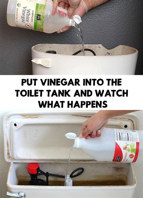 put vinegar   toilet tank     diyselfdecorcom