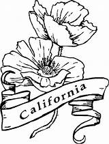California Coloring State Poppy Pages Drawing Symbols Flower Californian Symbol Tree Line Color Mission Getdrawings Kids Getcolorings Printable Print sketch template
