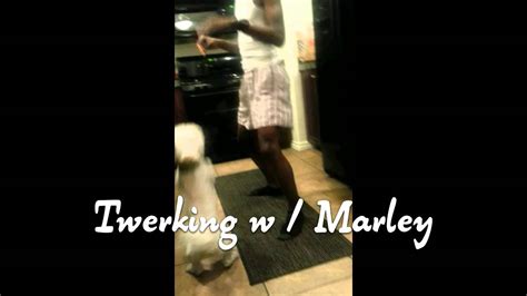 Marley Twerking Youtube