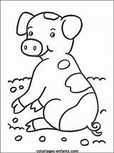 Varken Boerderij Boerderijdieren Cochons Coloriages Dieren Kleuter Modder Varkentje Cochon Ferme Meer Kalligram Downloaden Animées sketch template