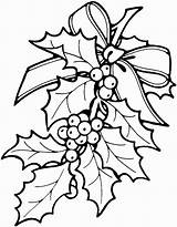 Coloring Poinsettia Christmas Pages Printable Color Print Getcolorings Colorin Colorings sketch template