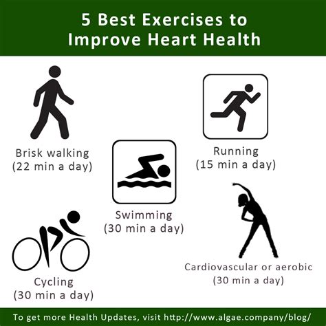 5 Best Exercises To Improve Heart Health