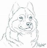 Husky Coloring Pages Dog Alaskan Siberian Realistic Line Drawing Drawings Color Printable Bing Horse Print Google Sketch Board Huskies Colouring sketch template